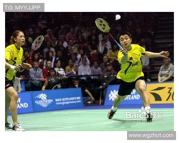 武汉羽毛球队区域防守策略解析与深度剖析 武汉羽毛球队区域防守策略解析与深度剖析